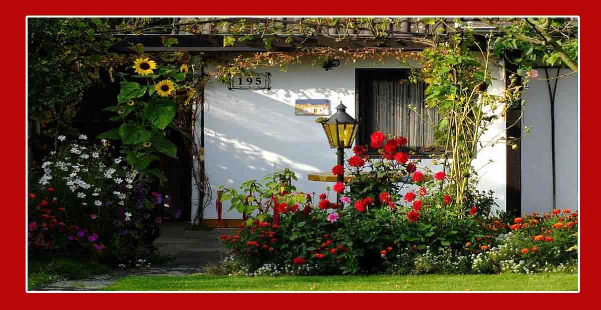 Home and Garden